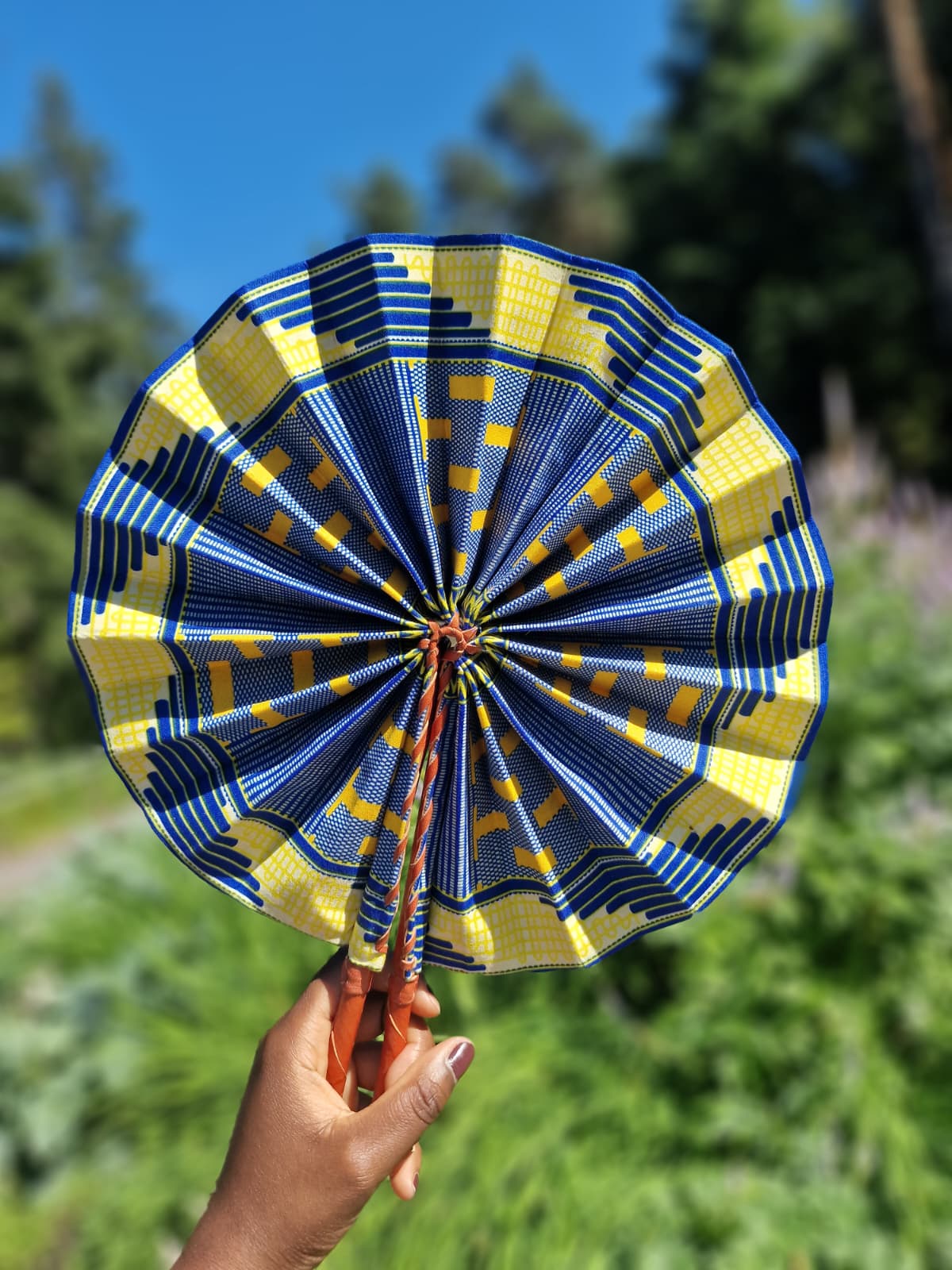 Fan